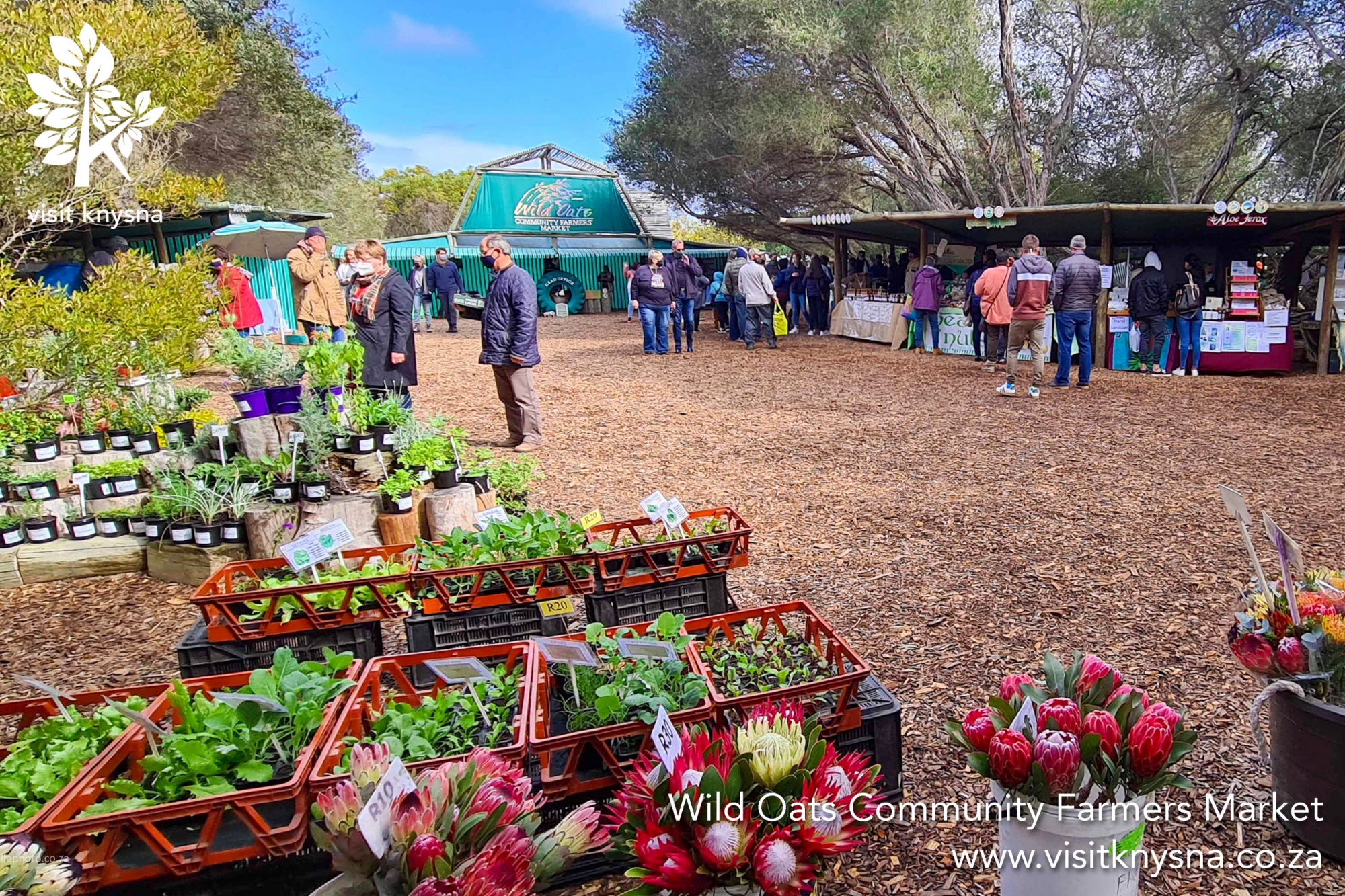 The morning crowd at Wild Oats